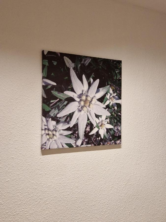 Flor De Nieve